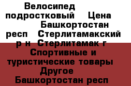 Велосипед Larsen (подростковый) › Цена ­ 4 500 - Башкортостан респ., Стерлитамакский р-н, Стерлитамак г. Спортивные и туристические товары » Другое   . Башкортостан респ.